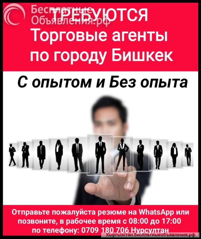 Требуются торговые агенты по городу Бишкек. С опытом и Без опыта.