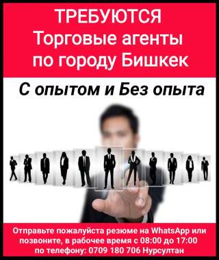 Требуются торговые агенты по городу Бишкек. С опытом и Без опыта.