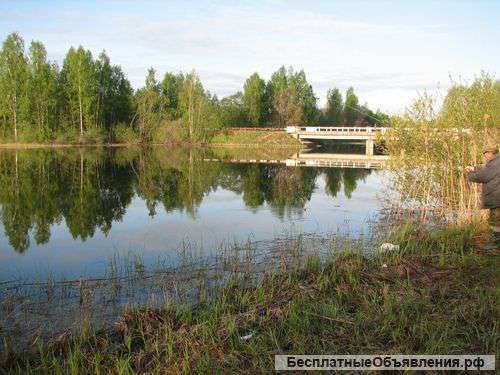 Участок 3.9 га (СНТ, ДНП)