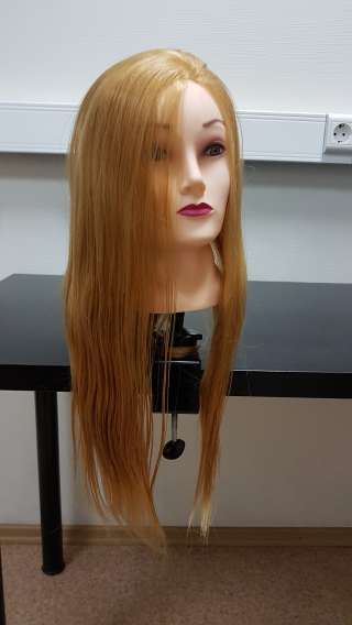 Манекен головка