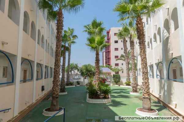 Недвижимость в Испании, Студия на первой линии море в Миль Пальмерас, Коста Бланка, Испания