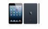 Apple iPad mini 16Gb Wi-Fi + Cellular Black