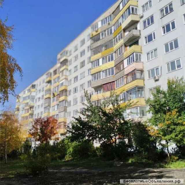 2-х комн. квартиру по пр-т Строителей 144