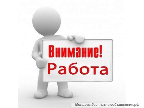 Работа, лето 2022, Болгария, морские курорти