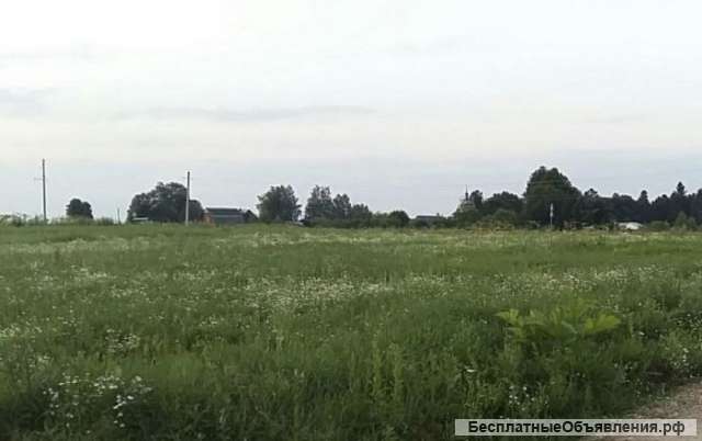 23 сотки в д. Мытники, ЛПХ, ПМЖ, рядом лес, водохранилище. Собственность