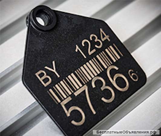 Лазерная маркировка