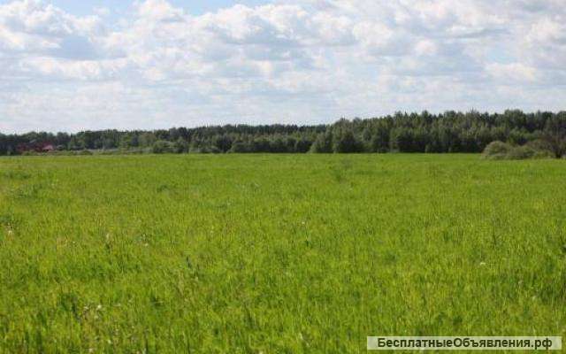 Участок сельхозназначения 64 Га Чернозем