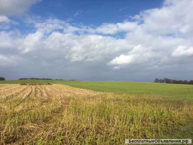Участок сельхозназначения 64 Га Чернозем