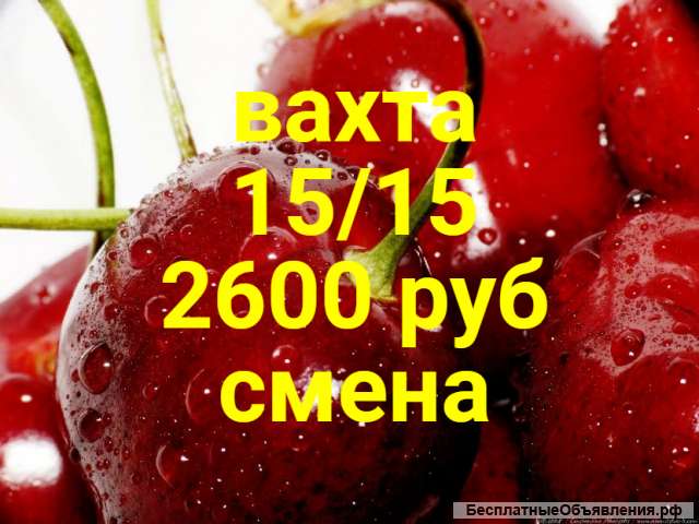 Вахта с жильем Упаковщики Москва склад