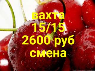 Вахта с жильем Упаковщики Москва склад