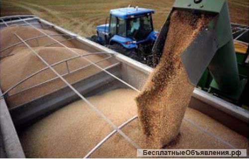 Пшеница 3 класс гост Р52554-2006