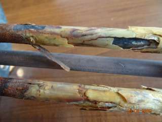 ТЭНы с защитным покрытием оболочки от первичной накипи для водонагревателей и парогенераторов