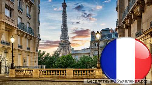 Французский с носителем. Подарочный сертификат