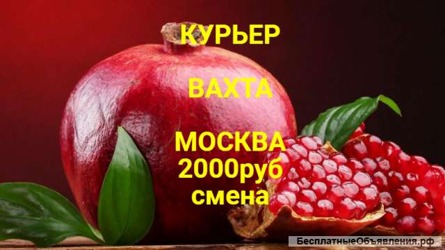 Работа Курьер на велосипеде Москва