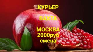 Работа Курьер на велосипеде Москва