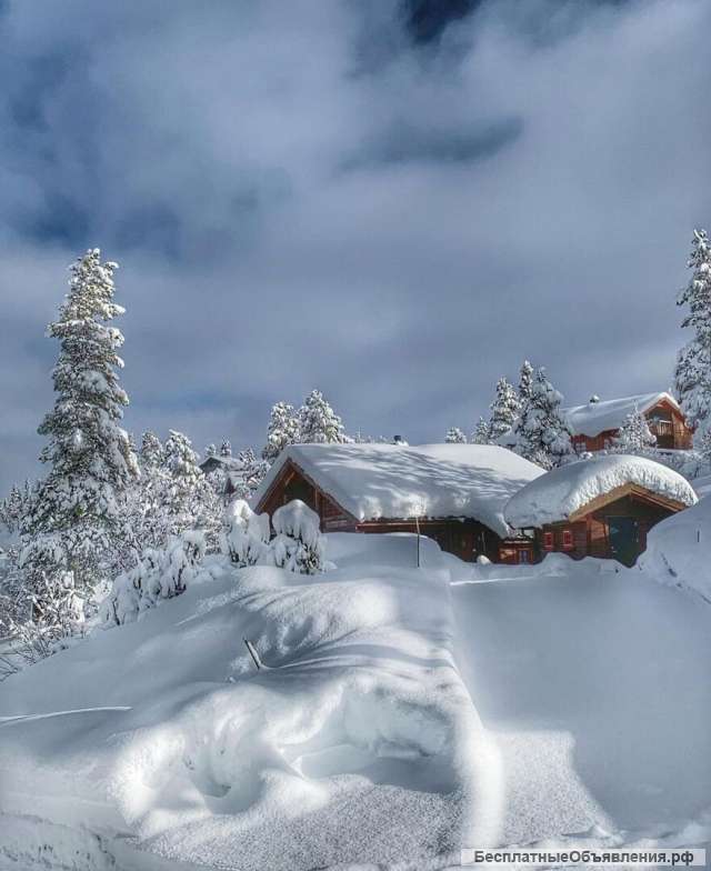 Биоэнергетика