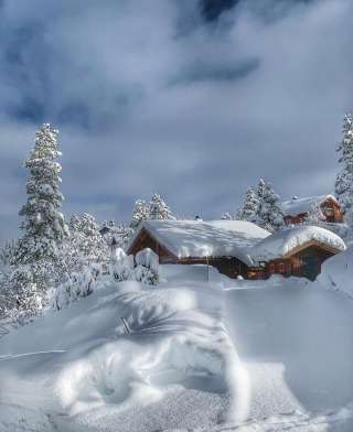 Биоэнергетика