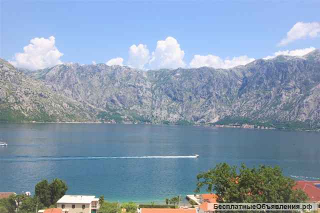 Квартиры в Которе, Столив