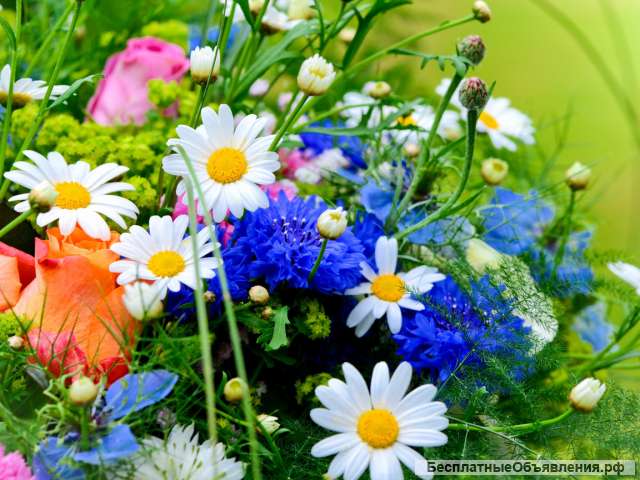 Пельменьчики, пельмешечки, вкусные и сытные