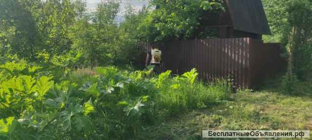 Дезинсекцыя