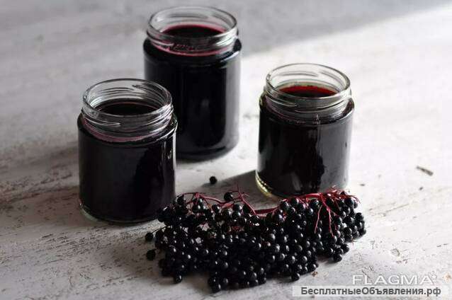 Сироп бузины черной