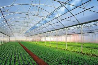 Разнорабочий в теплицах в солнечной Испании. Хорошие условия