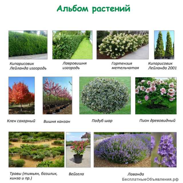 Ландшафтный дизайн