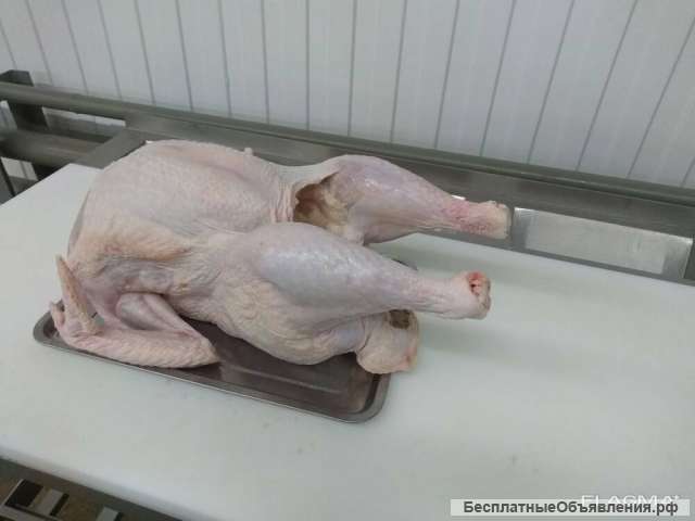 Тушка Индейки в Замороженные