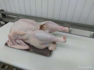 Тушка Индейки в Замороженные