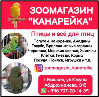 Зоомагазин "Канарейка". Птицы и всё для птиц