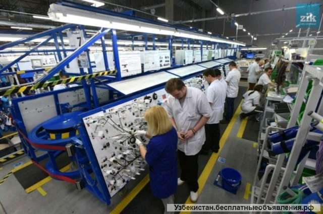 Работа на производстве Panasonic в Германии. Высокая зарплата