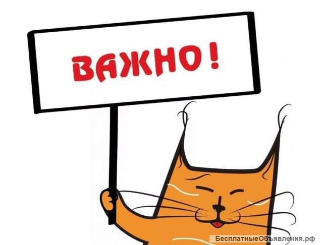 Ищу сильного ясновидящего в Москве