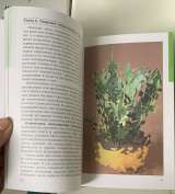 Д. В.Семенов. Кактусы и другие суккуленты в доме и в саду