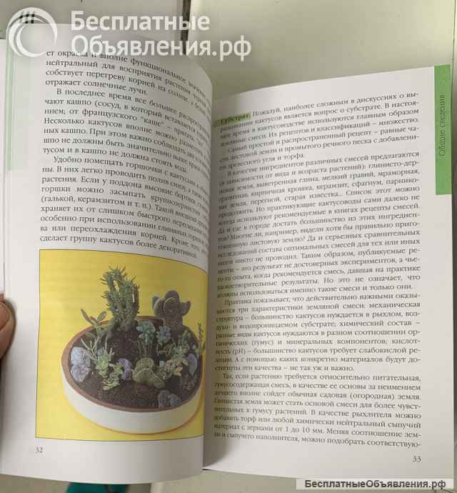 Д. В.Семенов. Кактусы и другие суккуленты в доме и в саду