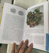 Д. В.Семенов. Кактусы и другие суккуленты в доме и в саду