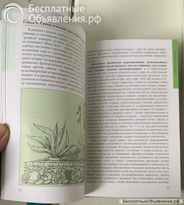 Д. В.Семенов. Кактусы и другие суккуленты в доме и в саду