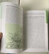Д. В.Семенов. Кактусы и другие суккуленты в доме и в саду