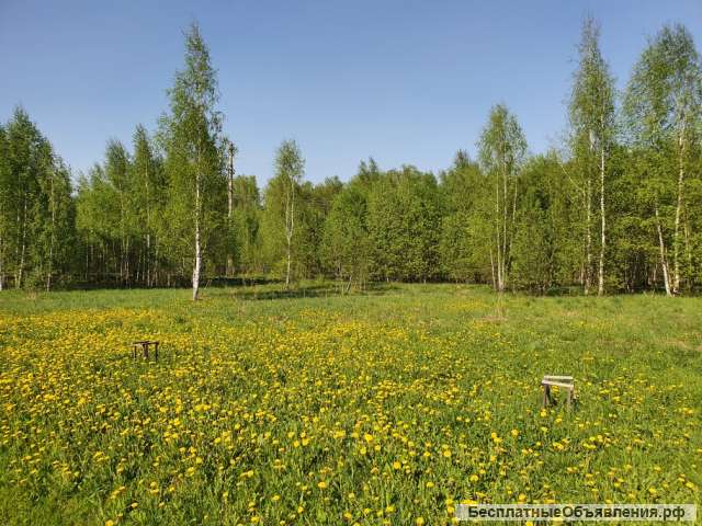 Участок в п. Старотеряево у реки и леса. Ижс. Собственность