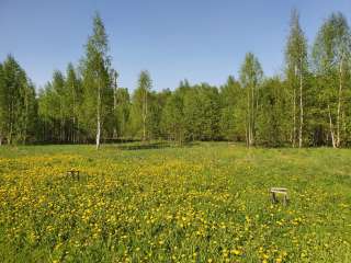 Участок в п. Старотеряево у реки и леса. Ижс. Собственность
