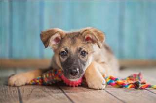 Весёлый малыш Кай в поисках семьи