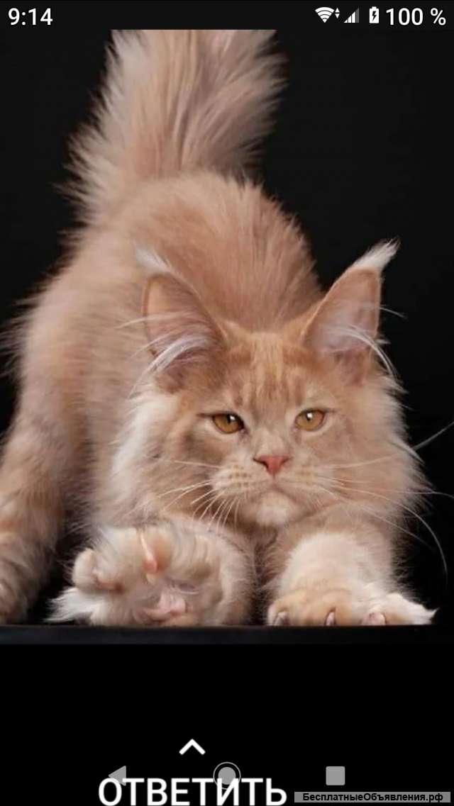 Приму в дар любое.: зем участок квартиру комнату