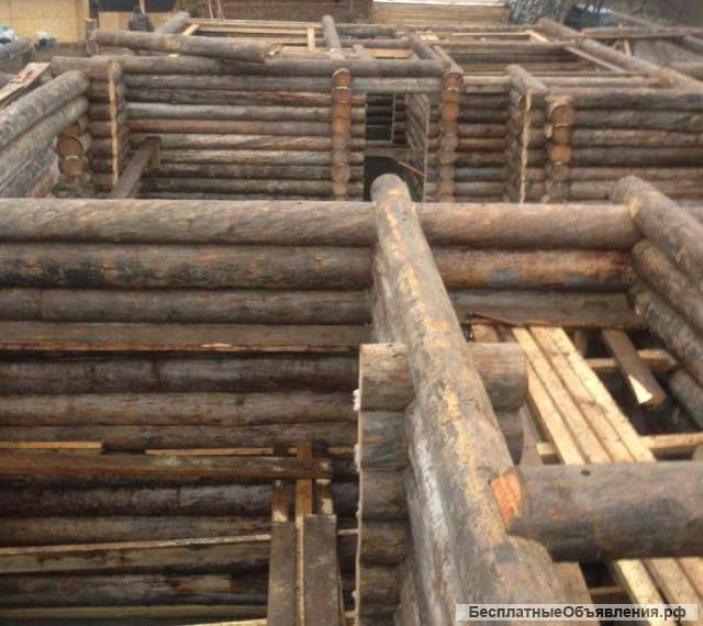 Бани из полярной сосны kelo