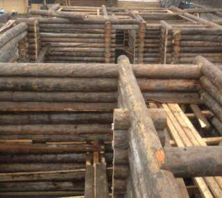 Бани из полярной сосны kelo