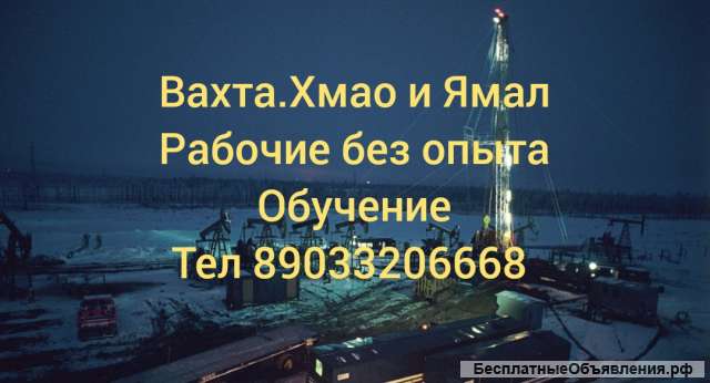 Слесарь по ремонту нефтяного оборудования