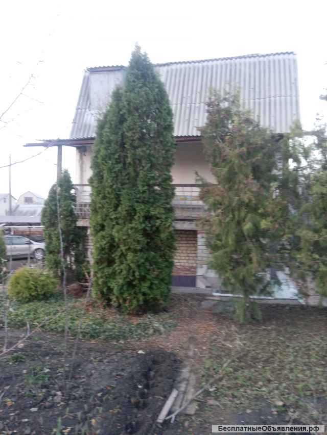 Дача на Волге