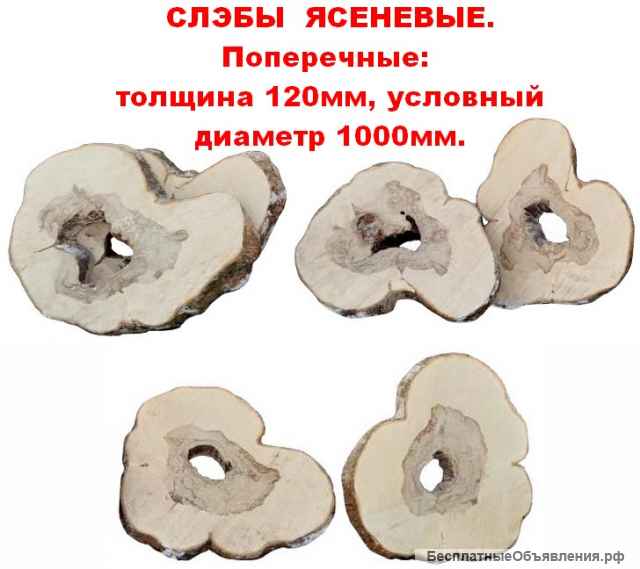 Слэбы дубовые и ясеневые. Толщина 100мм.