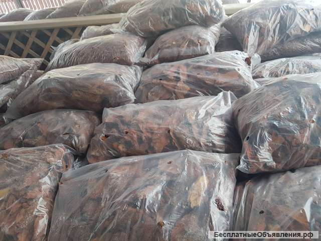 Кора лиственницы