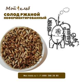 Солод ржаной (неферментированный)