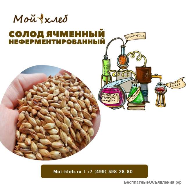 Солод ячменный