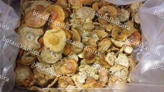 Cушенные шляпки мухомора